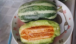 甜瓜视频,带你探索短视频世界的无限魅力